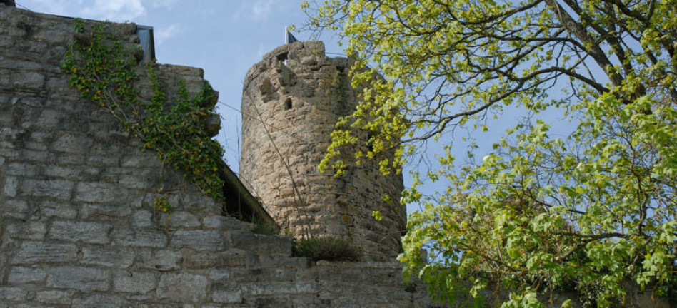 Die Burg Krautheim in Krautheim in Baden-Württemberg: Man sieht den Bergfried und vorne altes Gemäuer. Rechts ist das hellgrüne Laub eines Bauems sichtbar.