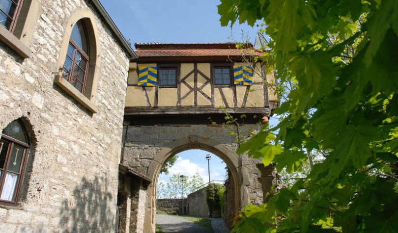 Man sieht einen Eingang zur Burg als Fachwerk über einem Rundbogen. Vorne rechts ist hellgrünes Weinlaub. Die Burg Krautheim steht in der Stadt Krautheim im nördlichen Baden-Württemberg.