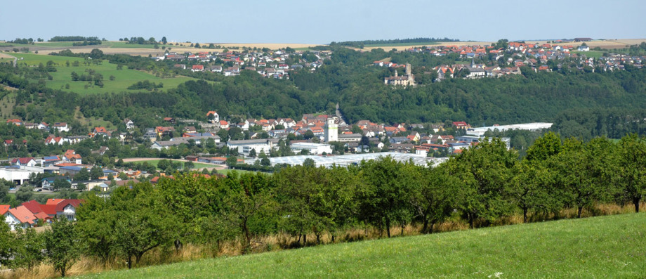 Man blickt von einer Anhöhe aus ins Jagsttal und sieht auf Krautheim. Vorne im Bild ist eine Wiese, dahinter Bäume. Über dem Ortsteil im Tal ist Wald, dahinter ist der obere Ortsteil von Krautheim. Links daneben ist eine weitere Fläche mit Wohnhäusern.