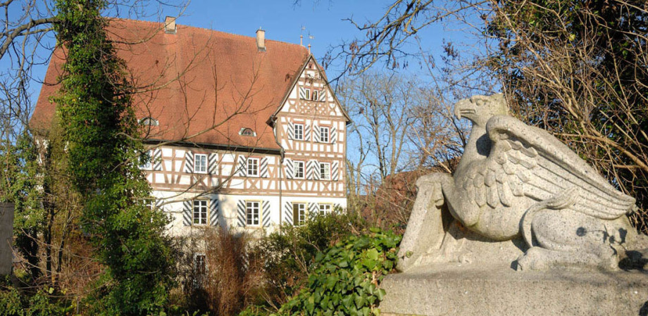 Hinter einem wirren Gestrüpp an verschiedenen Pflanzen sieht man eine Art Fachwerkschloss in Adelsheim. Im Vordergrund rechts ist auf einer Mauer ein Kunstwerk in Stein, das einen Adler darstellt.